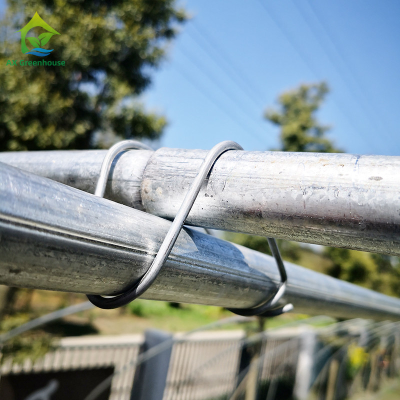 0.06mm 0.20mm Thick Flm Poly Tunnel Greenhouse Hot Galvanised Steel Greenhouse