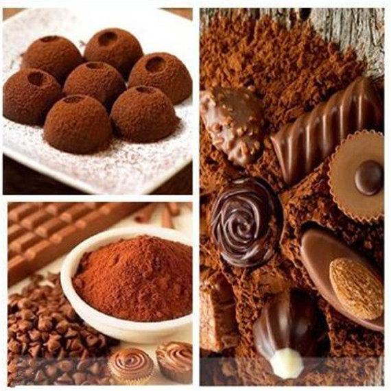 Premium Quality Low Fat Healthy Food Ingredient Cocoa Powder