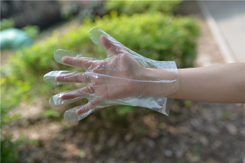 PE Household Daily Oil Proof 0.6g Disposable Hand Gloves