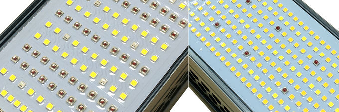 Greenhouse LED Grow Lights Efficient And Powerful Ip65 Commercial Indoor Plant Led Grow 1