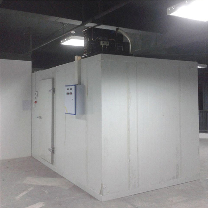 Air Cooler Copeland SS 304 Commercial Walk In Freezer