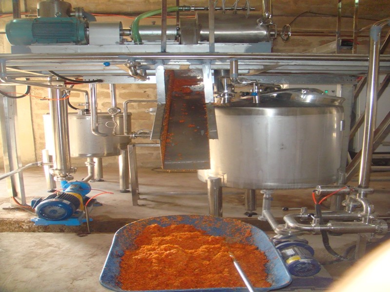 Raw Fruit Mango Juice Processing Line Sterilizing 10T Per Day