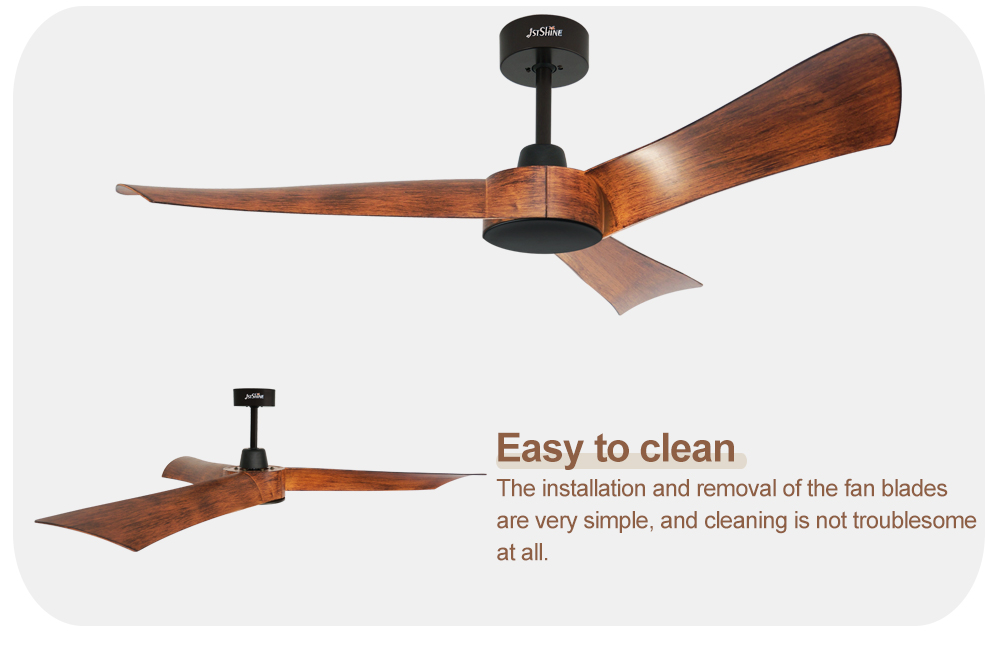 ceiling fan