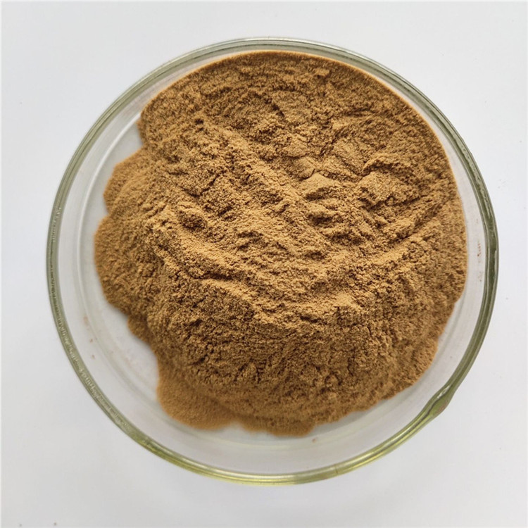 Houttuynia cordata extract powder For detoxification