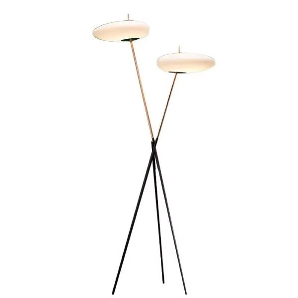 Bedroom Led Lights Living Room Decorations Postmodern Designer Floor Lamps(WH-MFL-220)
