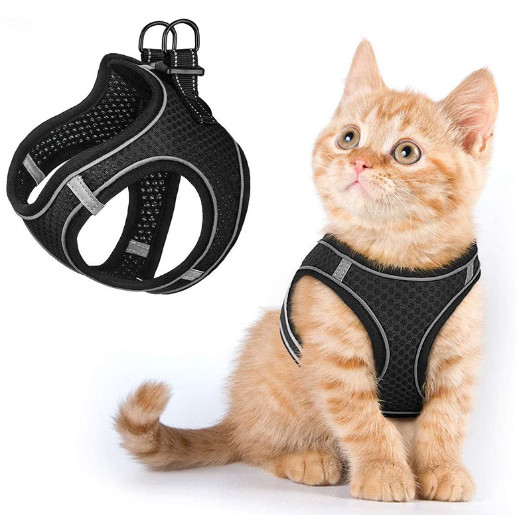 extra small kitten harness