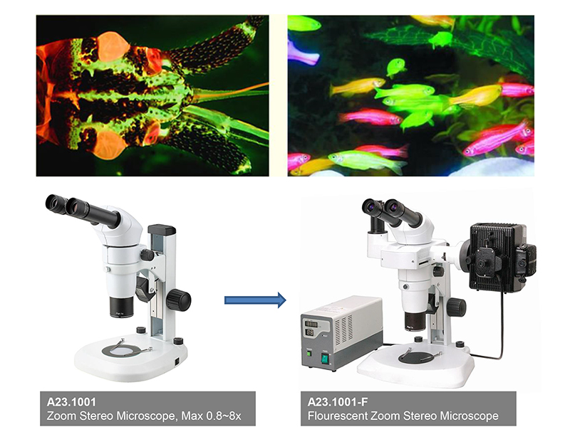 A23.1001-T LED Zoom Stereo Microscope With Digital Slr Camera