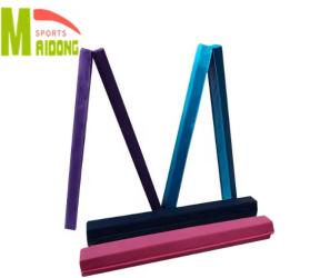 Maidong Sports Equipment Co., Ltd.