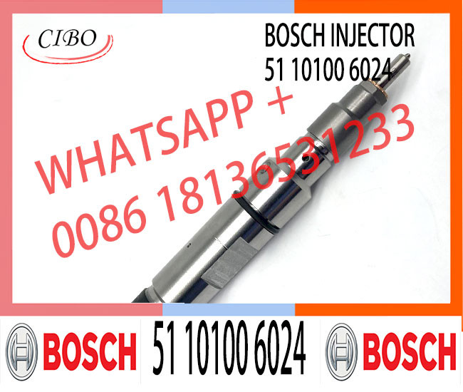 0445120025 0445120026 Common Rail Injector 51 10100 6024 0 445 120 025 0 445 120 026 For Bosh