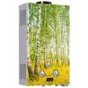 Buy cheap Gas Water Heater from wholesalers