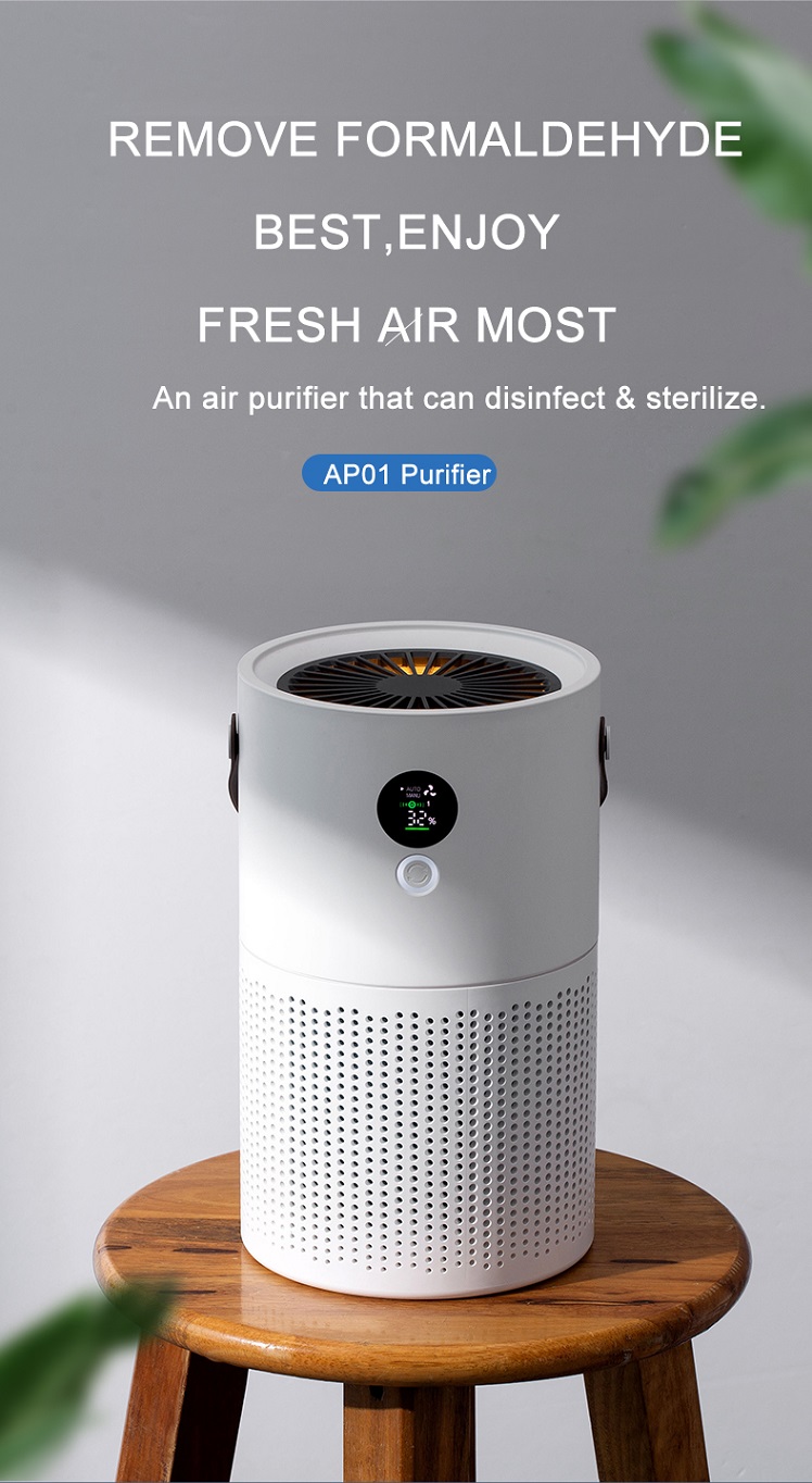 HOMEFISH Smoke Pm2.5 Negative Ion Desktop Cleaner Air Purifier