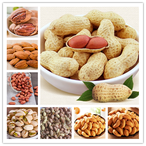 SUS304 Roasted Peanut Cooling Machine 5.1kw Peanut Nuts Cooling Machine Cashew
