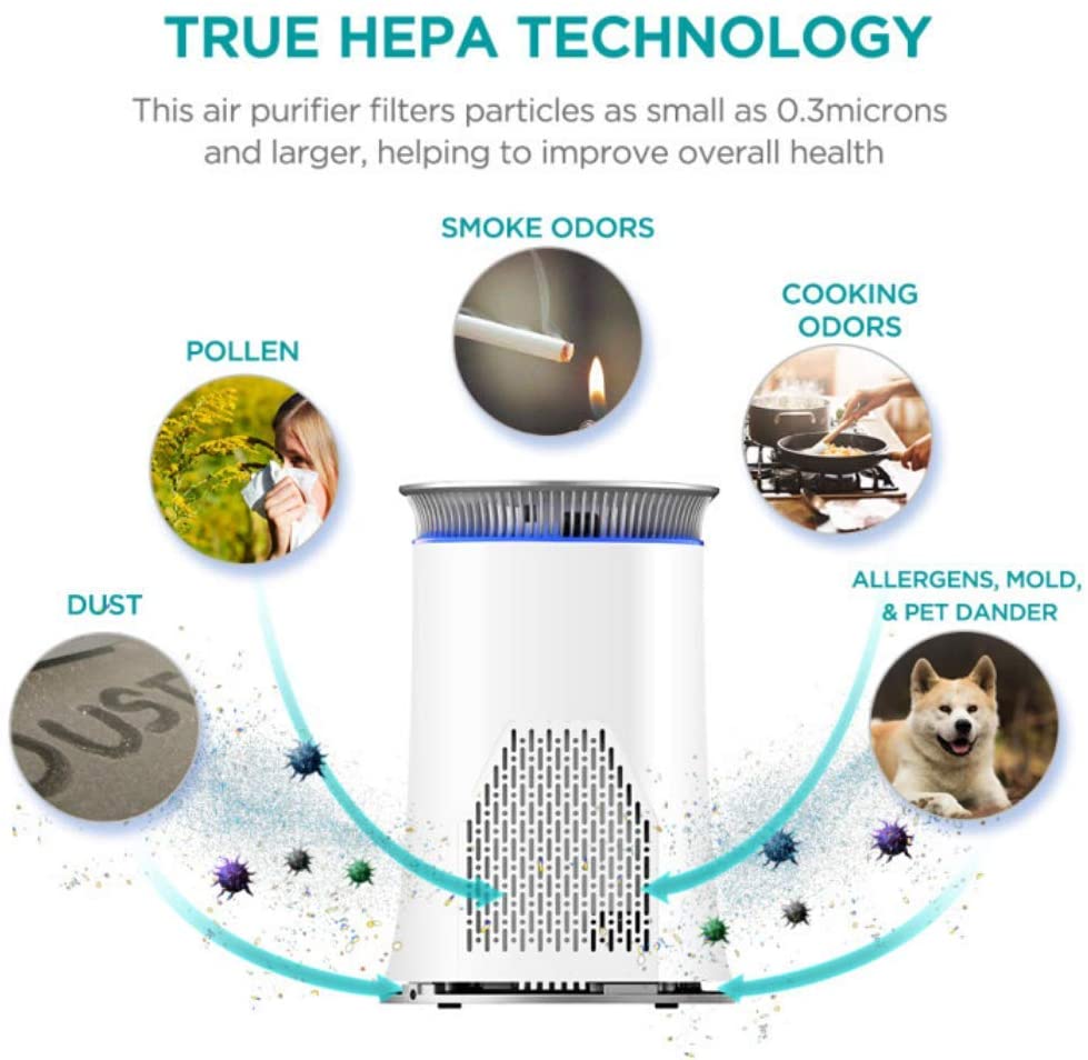 Indoor Household Portable Anion Air Purifier Low Noise 100-240V 24W