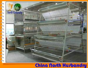 Buy cheap Chicken Cages Indoor Chicken Cages, Chicken Bass Equipment product
