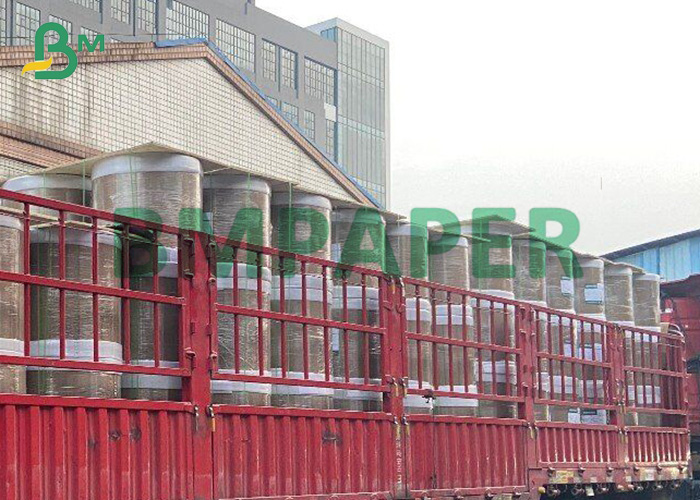Food Grade Single-side 230g + 15g PE Coated Cup Paper In Roll