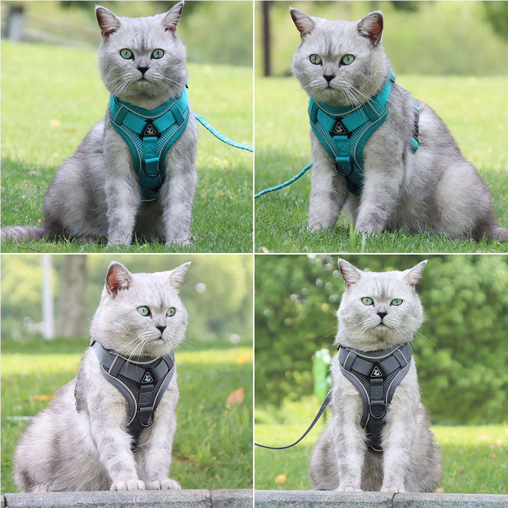 Polyester Reflective Pet Vest 1.5m Traction Leash Blue Dog Harness