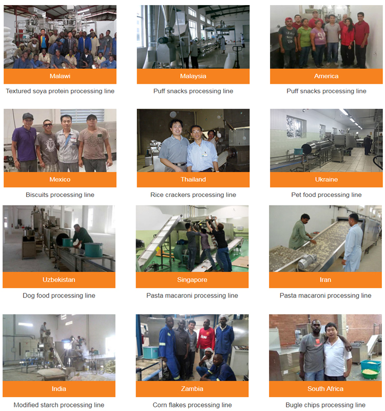 Automatic Dog Cat Pet food machine processing line