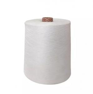 China 20s/3 203 Spun Polyester Yarn 20s/3 Raw White 20 Strand Anti Bacteria on sale