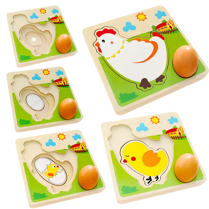 3D Chicken Growth Process Wooden Multi Layer Puzzle