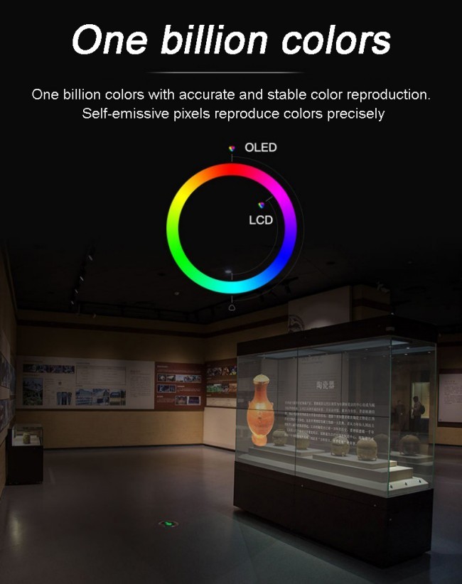 High Transparency Full Color Writing Method OLED Display Panel for Shopping Mall Advertising