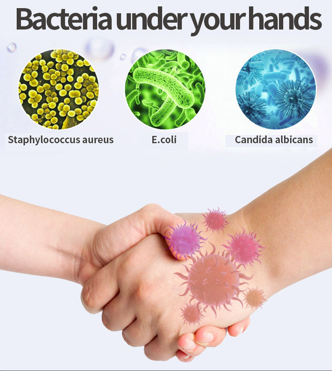 Pet Bottle Waterless Hand Sanitiser Antibacterial Alcohol Hand Sanitizer