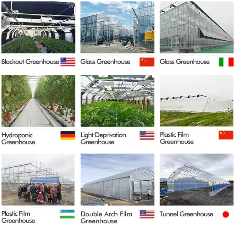 OEM Steel Frame Fruit And Vegetable Greenhouse For Strawberries