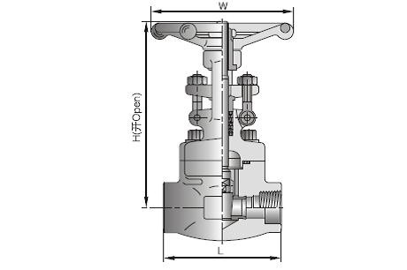Stainless Forged Steel Valves 800LB , A182 F316 Socket Weld Gate Valve