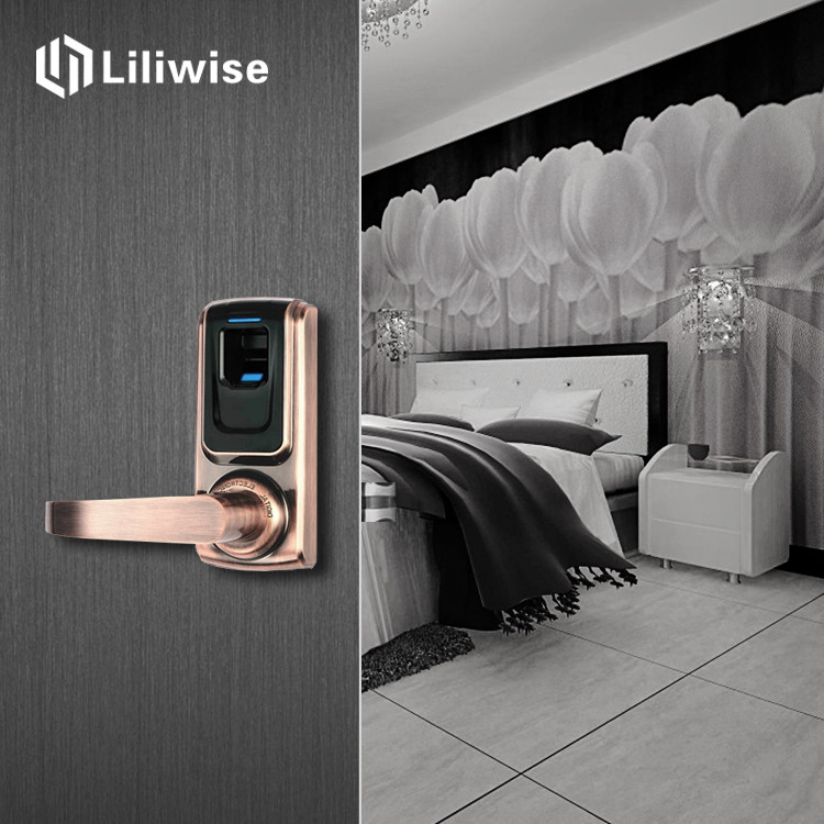 Small Smart Fingerprint Door Lock Mechanical Key Super Convenient For Wood Door