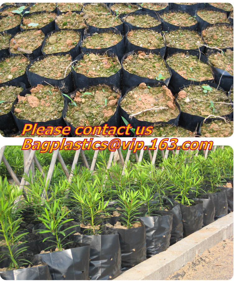 China factory supply irrigation system pe pipe price Ldpe pipe,25mm Garden irrigation PE pipe,Polyethylene PE Flexible P