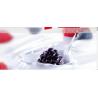 Buy cheap Decorations from wholesalers