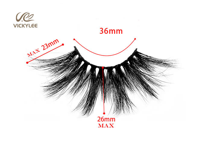 Long Wispy Soft 23mm 6D Eyelash Extensions For Daily Makeup