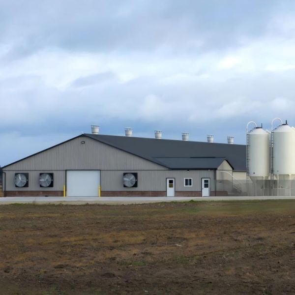 Customizable Dimensions High Strength Steel Frame Fast Installation Prefabricated Steel Structure Poultry House for Broiler Farming
