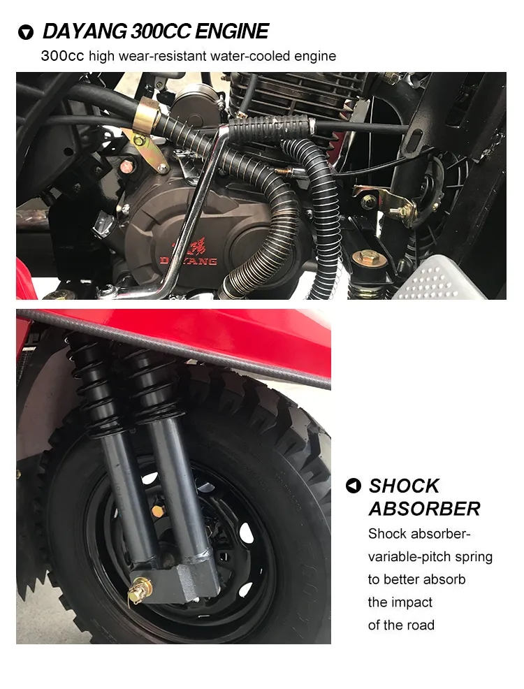1000W Moto Pullman Dreirad Gypten Benzin Moto Tricycle Rear Spring Leafs