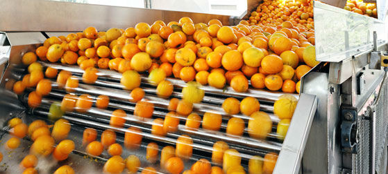 Fruit Juice Processing Equipment Orange Processing Line 5000kg / Hour ISO9001 CE/SGS