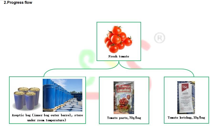 Stainless Steel Customized Jam Paste Sauce Processing Line Aseptic Bag PET Bottle
