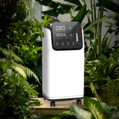 Medical Health Care 5 Litre Oxygen Concentrator With Nebulizer