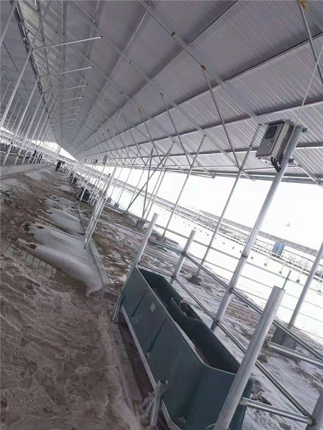 Cow Frost Proof Thermal 98KG Cattle Water Drinkers 560mm Heated Water Trough