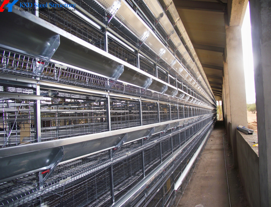 Plastic Broiler Poultry Equipment Full Automatic Broiler Pan Feeder Customized