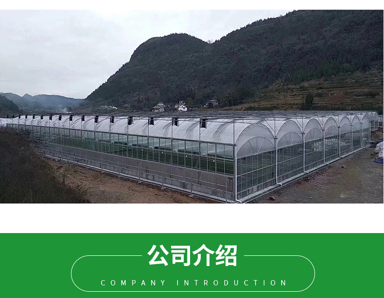 Double Layer PO Greenhouse Tunnel for Precise Temperature Control