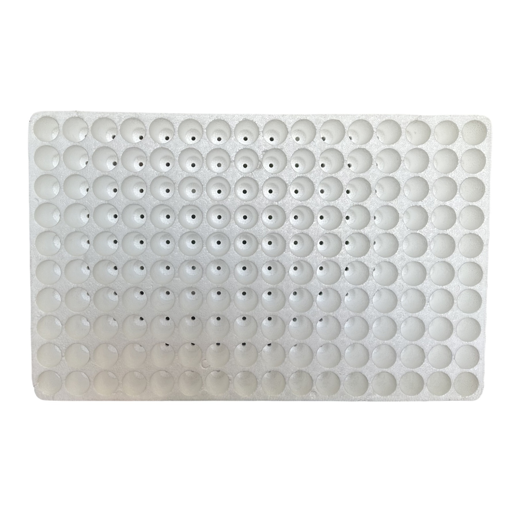 Suspended Foam Seedling Tray EPS Plant Cultivation Tray Customized