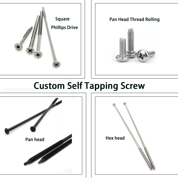 Self-Tapping Screws in Carbon Steel/Stainless Steel with Zinc Plated Hex/Pan/Flat Head