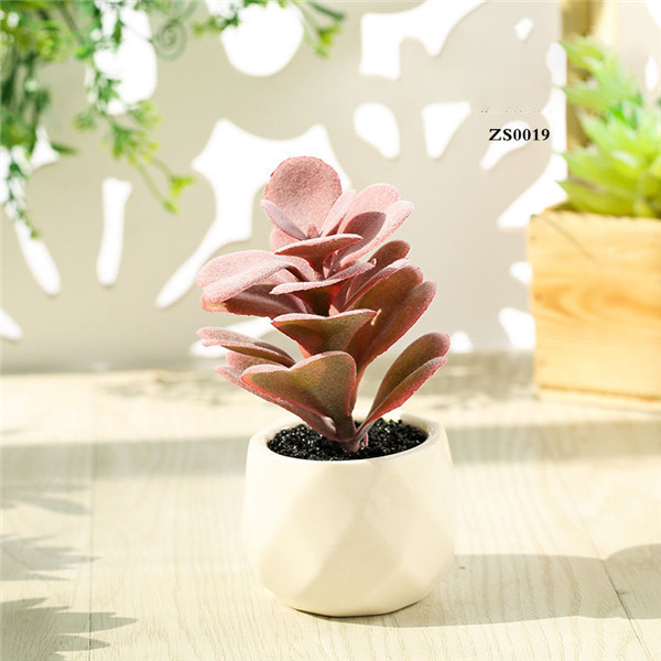 Mini Succulent Artificial Potted Plants Strange Shape Green Platsic Material
