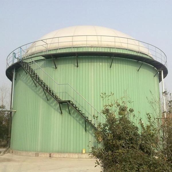 Quality Roof Top Double Membrane Biogas Storage Tanks for sale