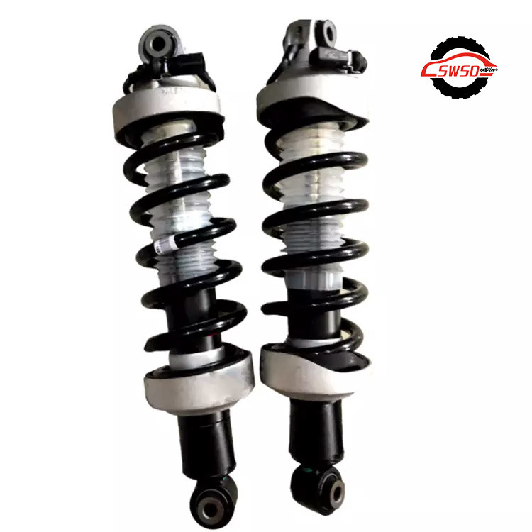 R8 420512019AK 420512020AK Audi Shock Absorber