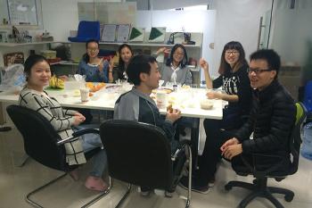 Shenzhen LDK Industrial Co., Ltd.