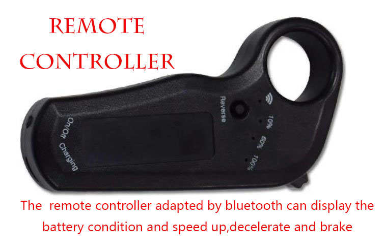 Plastic Portable Electric Skateboard , Colorful Fastest E Skateboard Fish Board