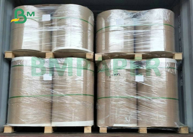 Good Absorption 230gsm + 18PE CupStock Paper Coated One Sided  For Papercups 