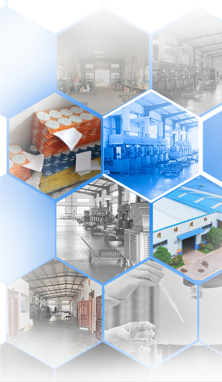 Diamond Polishing Pads For Dry On Slabs And Tiles With OBM Support And Customization