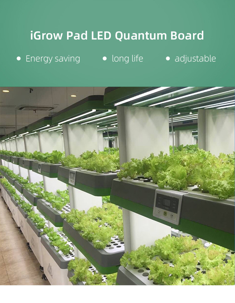 120W Samsung LM301H High PPFD Grow Light With Powerful Heatsink