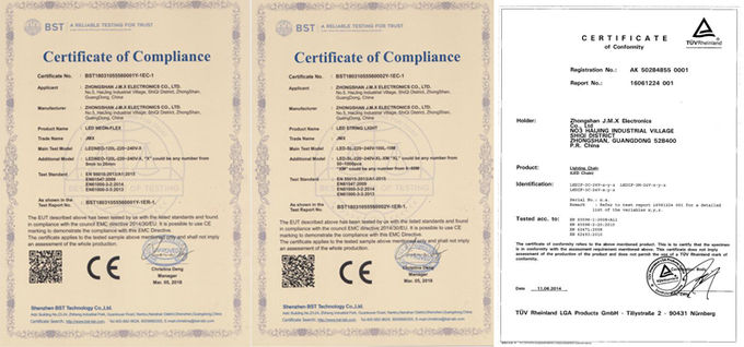 Top quality 2 wires 110/220V LED rope light Christmas decorative lighting outdoor festive lighting supplier best price